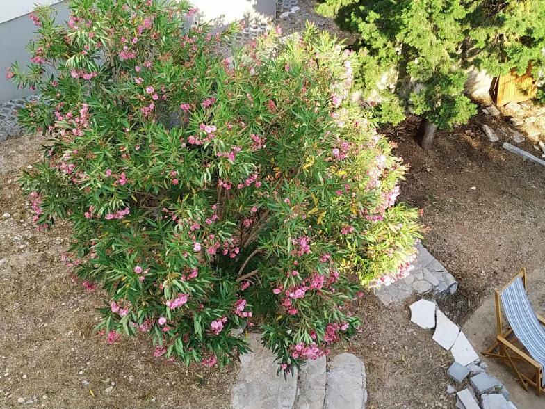 Apartments Kupine بول المظهر الخارجي الصورة